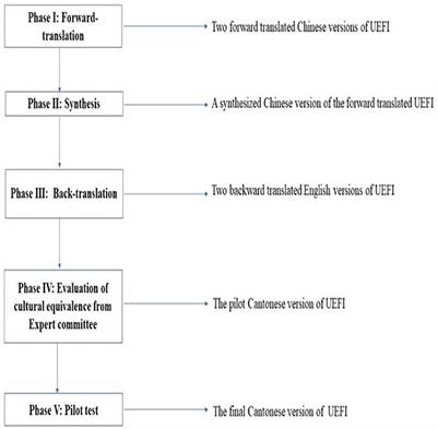 Psychometric properties of the Chinese (Cantonese) version of the Upper Extremity Functional Index in people with chronic stroke